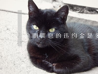 逾期罚息的违约金是多少 逾期罚息的违约金是多少
