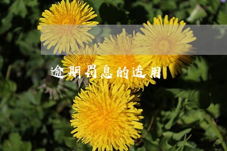 逾期罚息的适用 逾期罚息的适用