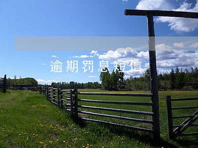 逾期罚息短信 逾期罚息短信
