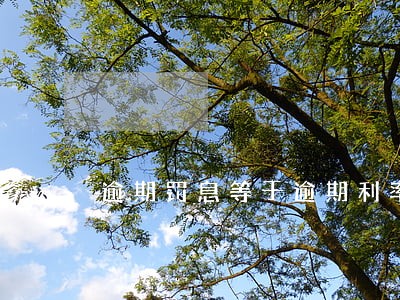 逾期罚息等于逾期利率么 逾期罚息等于逾期利率么