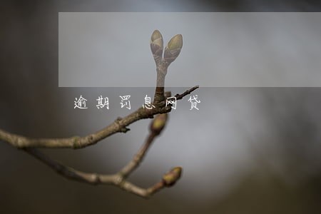 逾期罚息网贷 逾期罚息网贷