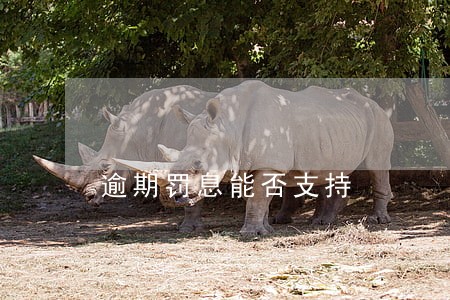 逾期罚息能否支持 逾期罚息能否支持