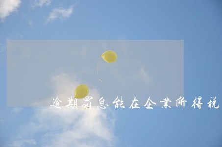 逾期罚息能在企业所得税扣除吗 逾期罚息能在企业所得税扣除吗