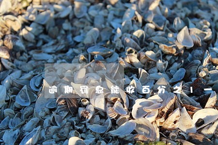 逾期罚息能收百分之1一天吗 逾期罚息能收百分之1一天吗