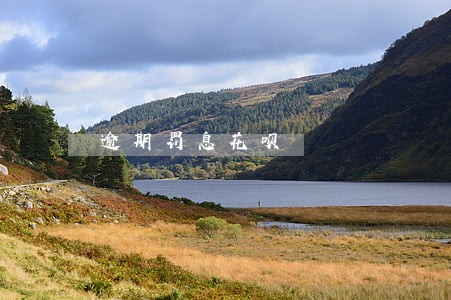 逾期罚息花呗