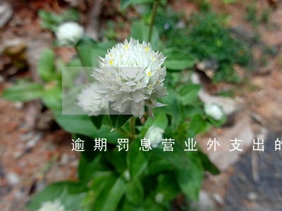 逾期罚息营业外支出的哪项 逾期罚息营业外支出的哪项