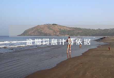 逾期罚息计算依据 逾期罚息计算依据