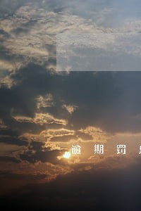 逾期罚息计算基数 逾期罚息计算基数