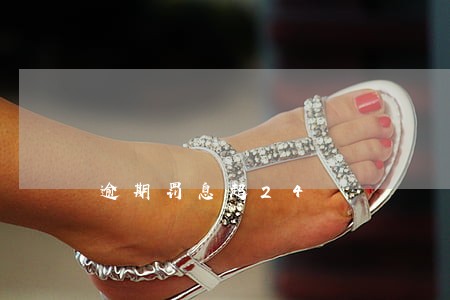 逾期罚息超24 逾期罚息超24