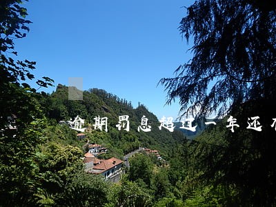 逾期罚息超过一年还有罚息吗 逾期罚息超过一年还有罚息吗