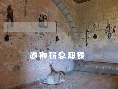逾期罚息超额 逾期罚息超额