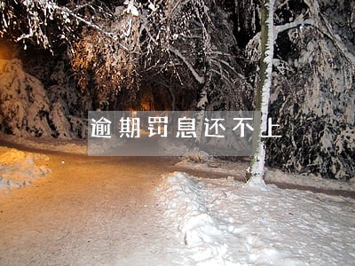 逾期罚息还不上 逾期罚息还不上