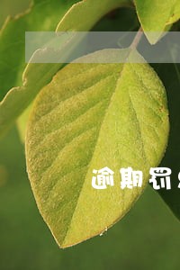逾期罚息还不上怎么办 逾期罚息还不上怎么办