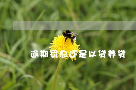 逾期罚息还是以贷养贷 逾期罚息还是以贷养贷