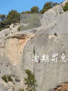 逾期罚息还是合同金额 逾期罚息还是合同金额
