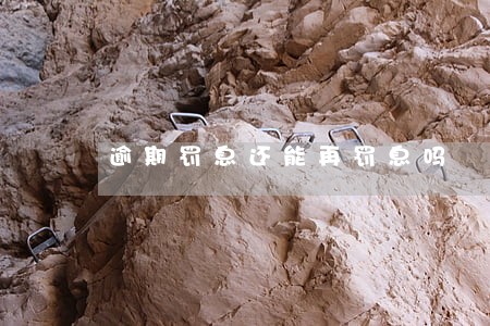 逾期罚息还能再罚息吗 逾期罚息还能再罚息吗