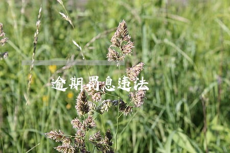 逾期罚息违法 逾期罚息违法