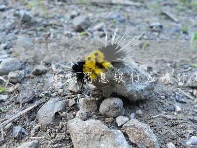 逾期罚息银行应该计入什么科目 逾期罚息银行应该计入什么科目