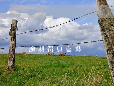 逾期罚息高吗 逾期罚息高吗