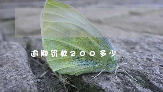 逾期罚款200多少 逾期罚款200多少