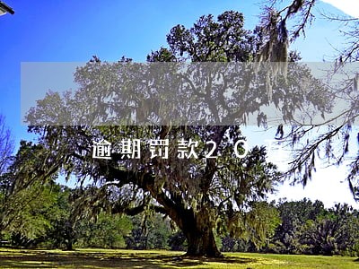 逾期罚款20万 逾期罚款20万