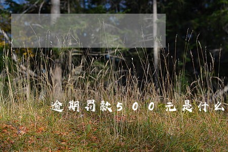 逾期罚款500元是什么处罚 逾期罚款500元是什么处罚