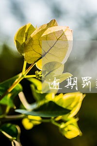 逾期罚款50元翻译