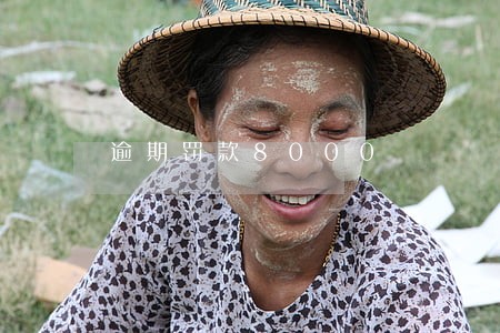 逾期罚款8000 逾期罚款8000
