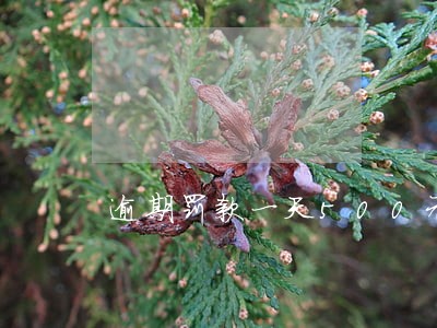 逾期罚款一天500元 逾期罚款一天500元