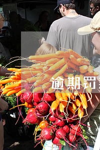逾期罚款上征信吗 逾期罚款上征信吗