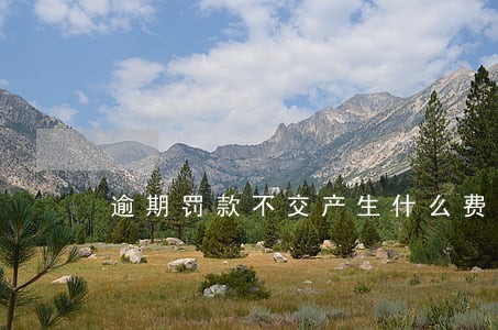 逾期罚款不交产生什么费 逾期罚款不交产生什么费