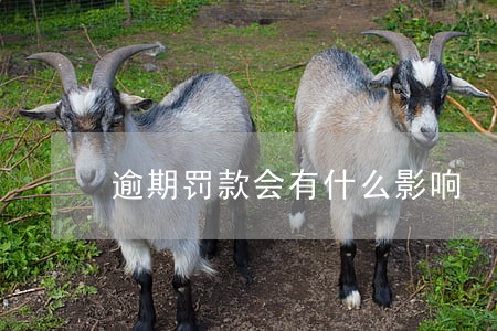 逾期罚款会有什么影响 逾期罚款会有什么影响
