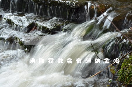 逾期罚款会有滞纳金吗 逾期罚款会有滞纳金吗