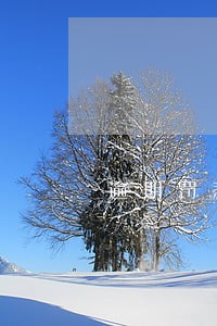 逾期罚款会计分录 逾期罚款会计分录