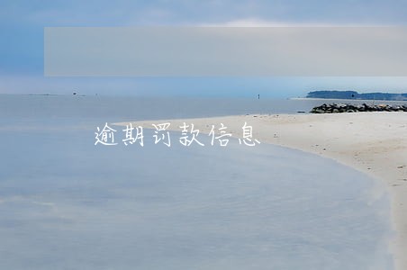 逾期罚款信息 逾期罚款信息