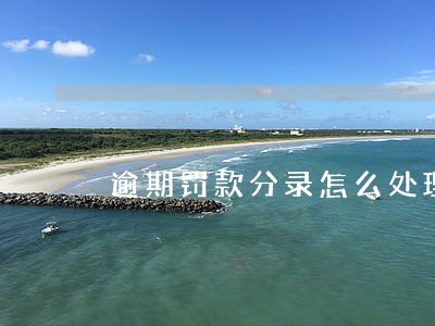 逾期罚款分录怎么处理 逾期罚款分录怎么处理