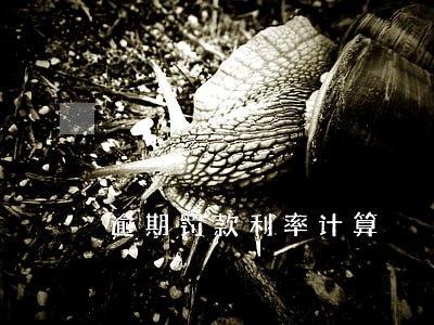逾期罚款利率计算 逾期罚款利率计算