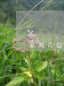 逾期罚款单表格 逾期罚款单表格