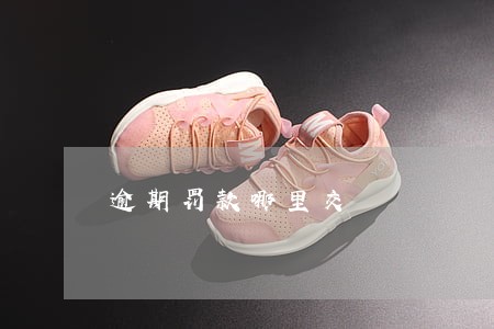 逾期罚款哪里交 逾期罚款哪里交
