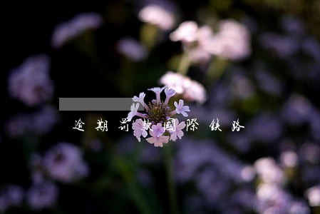 逾期罚款国际铁路 逾期罚款国际铁路