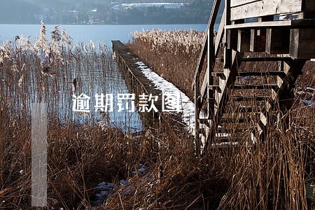 逾期罚款图 逾期罚款图