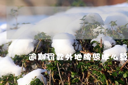 逾期罚款外地牌照咋么算