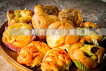 逾期罚款多少算处罚 逾期罚款多少算处罚