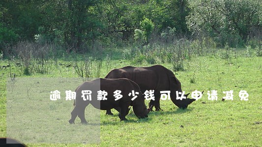 逾期罚款多少钱可以申请减免 逾期罚款多少钱可以申请减免