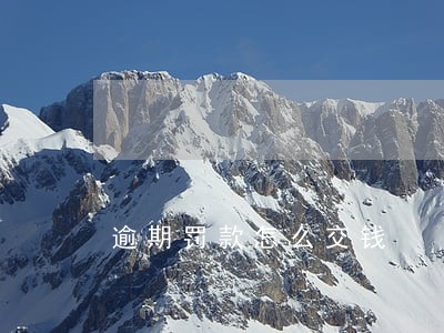 逾期罚款怎么交钱 逾期罚款怎么交钱