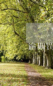逾期罚款怎么怎么交 逾期罚款怎么怎么交