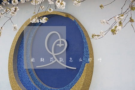 逾期罚款怎么称呼 逾期罚款怎么称呼