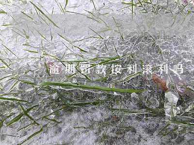 逾期罚款按利滚利吗 逾期罚款按利滚利吗
