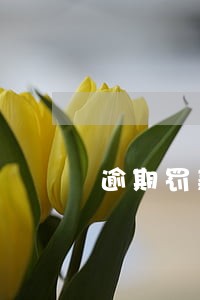 逾期罚款每日 逾期罚款每日