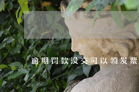 逾期罚款没交可以领发票吗 逾期罚款没交可以领发票吗